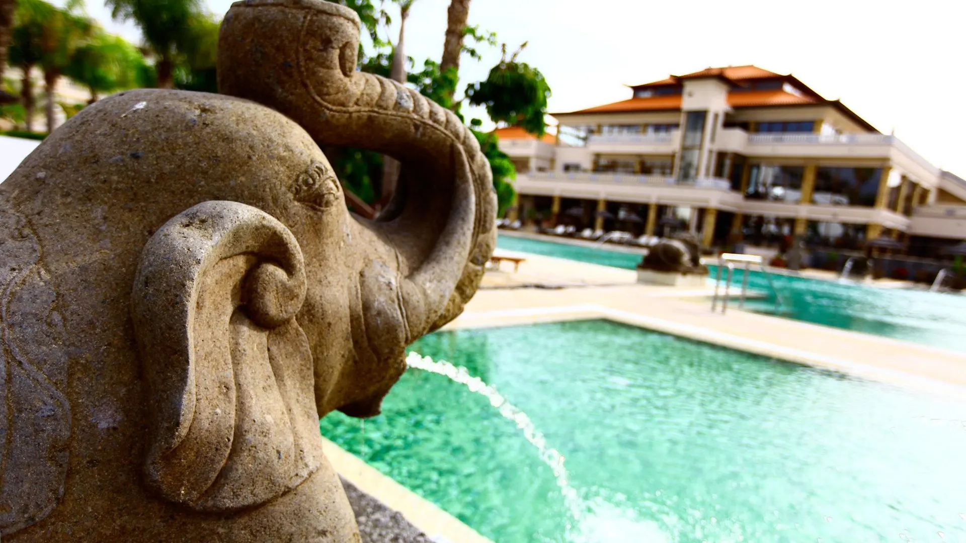 Regency Country Club, Apartments Suites Playa de las Americas  3*, Playa de las Americas (Tenerife) Spain